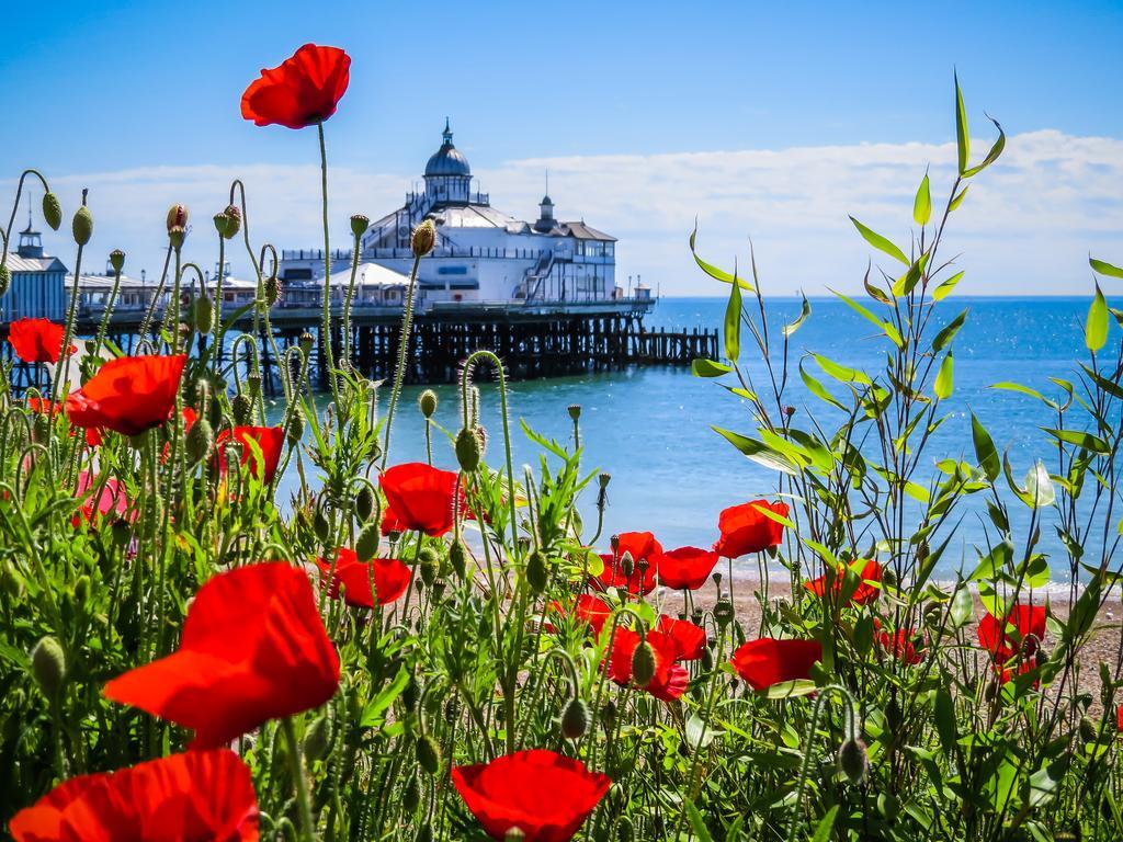 Villa Wendy House WTA WTA Eastbourne Exterior foto